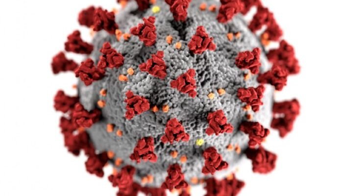 Waspada! Varian Straus Covid-19 Menyebar Cepat di Indonesia, Ini Ciri-Cirinya