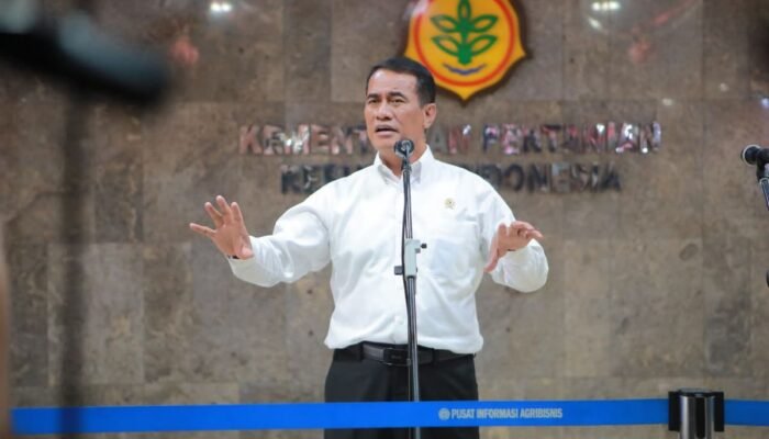 Pasca Beras Oplosan, Konsumen Beralih ke Pasar Tradisional