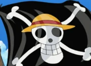 Dasco: Pengibaran Bendera One Piece Bagian dari Ekspresi Kreatif