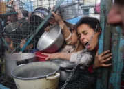 PBB Deklarasi Kelaparan Gaza, Ibu Palestina: Terlalu Terlambat untuk Anak Kami