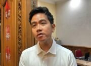 Tom Lembong dan Hasto Dibebaskan, Gibran: Ini Keputusan Baik