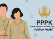 Sulut Tertinggi, Ini Daftar Gaji PPPK Paruh Waktu se-Sulawesi 2025
