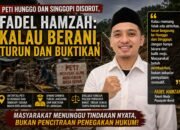 PETI Hunggo dan Singgopi Disorot, Fadel: Kalau Berani, Turun dan Buktikan