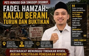 PETI Hunggo dan Singgopi Disorot, Fadel: Kalau Berani, Turun dan Buktikan